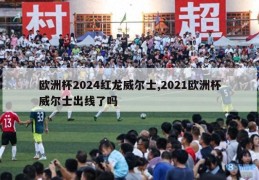 欧洲杯2024红龙威尔士,2021欧洲杯威尔士出线了吗