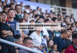 欧洲杯在哪里可以回放比赛,欧洲杯在哪里可以回放比赛视频