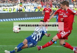 欧洲杯直播在线观看CCTV,欧洲杯直播电视