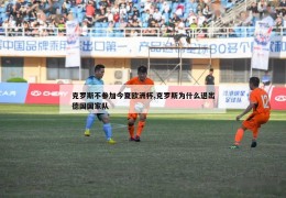 克罗斯不参加今夏欧洲杯,克罗斯为什么退出德国国家队