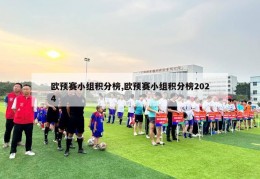 欧预赛小组积分榜,欧预赛小组积分榜2024