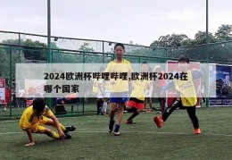 2024欧洲杯哔哩哔哩,欧洲杯2024在哪个国家