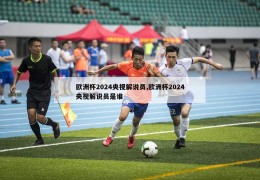 欧洲杯2024央视解说员,欧洲杯2024央视解说员是谁