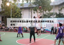 欧洲杯彩票怎么查中奖记录,欧洲杯中奖怎么查询