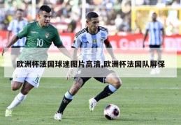 欧洲杯法国球迷图片高清,欧洲杯法国队屏保