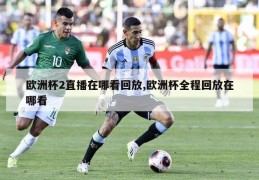 欧洲杯2直播在哪看回放,欧洲杯全程回放在哪看