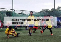 2024荷兰队欧洲杯名单,荷兰2021欧洲杯预选赛