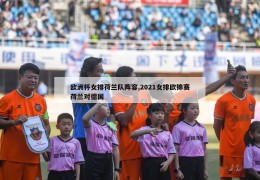 欧洲杯女排荷兰队阵容,2021女排欧锦赛荷兰对德国