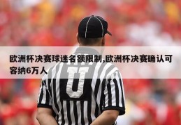 欧洲杯决赛球迷名额限制,欧洲杯决赛确认可容纳6万人