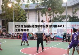 欧洲杯直播频道在哪看回放,欧洲杯2021直播在哪看