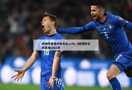 欧洲杯直播中央五台,cctv_5欧洲杯在线直播2021年