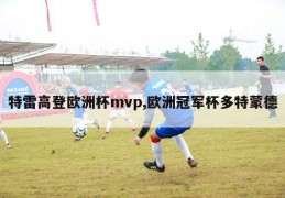 特雷高登欧洲杯mvp,欧洲冠军杯多特蒙德