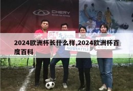 2024欧洲杯长什么样,2024欧洲杯百度百科